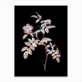 Stained Glass Pink Alpine Rose Mosaic Botanical Illustration on Black n.0255 Canvas Print