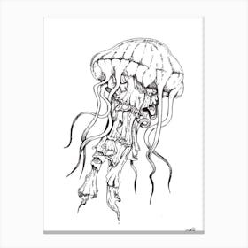 Black and White Jellyfish Canvas Print