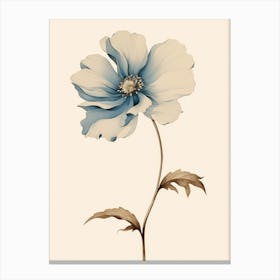 Blue Anemone Flower Canvas Print