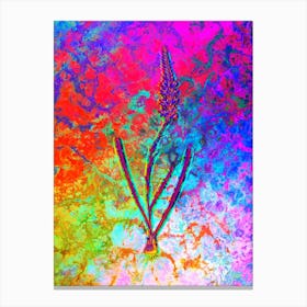 Ixia Cepacea Botanical in Acid Neon Pink Green and Blue n.0025 Canvas Print