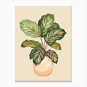 Calathea Plant Minimalist Illustration 5 Canvas Print