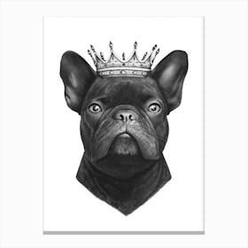 King French Bulldog Canvas Print