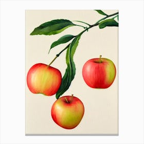 Apple 2 Watercolour Fruit Painting Fruit Canvas Print