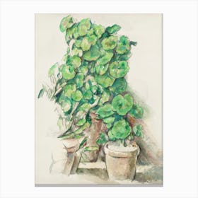 Geraniums, Paul Cézanne Canvas Print