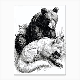 Malayan Sun Bear And A Fox Ink Illustration 4 Canvas Print