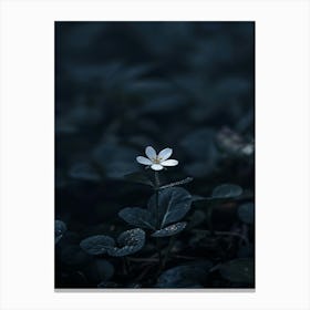 White Flower In The Dark 9 Canvas Print