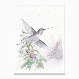 Hummingbird In Snowfall Quentin Blake Illustration 1 Canvas Print