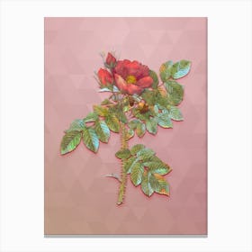 Vintage Kamtschatka Rose Botanical Art on Crystal Rose n.1134 Canvas Print