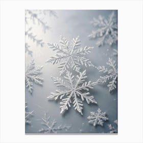 White snowflakes Canvas Print