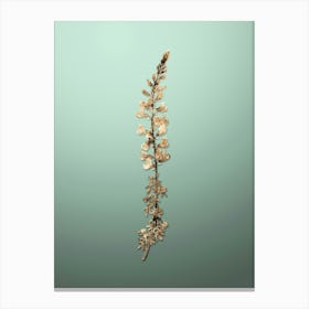 Gold Botanical Adenocarpus on Mint Green n.2768 Canvas Print