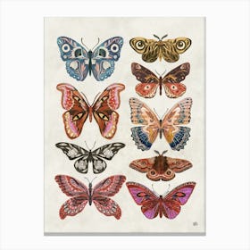 Butterflies cottagecore art Canvas Print