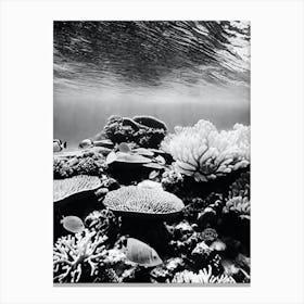 Black And White Coral Reef Canvas Print