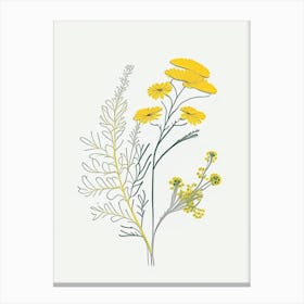 Feverfew Spices And Herbs Minimal Line Drawing 1 Canvas Print