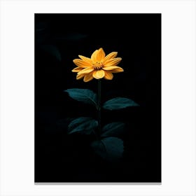 Single Yellow Flower Canvas Print