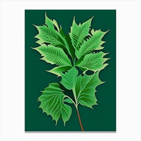 Pennyroyal Leaf Vibrant Inspired 4 Canvas Print