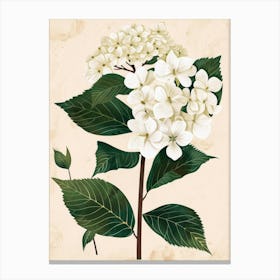 Hydrangea 6 Canvas Print