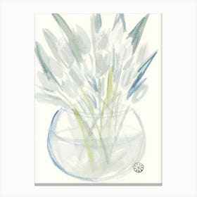 White Tulips Canvas Print