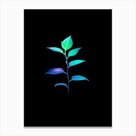 Plant On A Black Background 7 Canvas Print