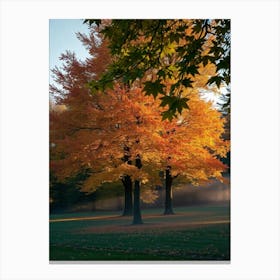 Autumn Trees 1 Canvas Print