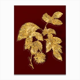 Vintage Paper Mulberry Flower Botanical in Gold on Red n.0607 Canvas Print