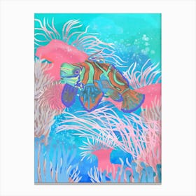 Mandarinfish Canvas Print