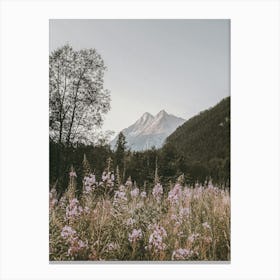 Mountain Flower Meadow Canvas Print