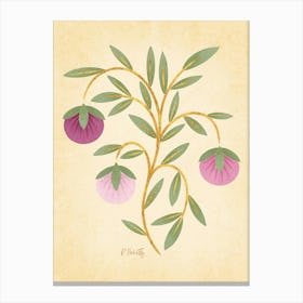 Vintage Pink and Gold Fruits Canvas Print
