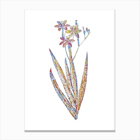 Stained Glass Blackberry Lily Mosaic Botanical Illustration on White n.0357 Canvas Print