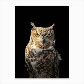 Great Horned Owl 2 Canvas Print