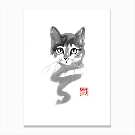Cat Line Canvas Print