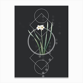 Vintage Primrose Peerless Botanical with Geometric Line Motif and Dot Pattern n.0303 Canvas Print