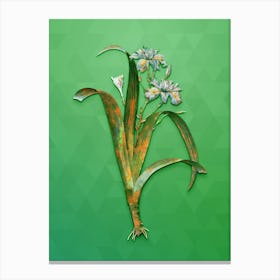 Vintage Iris Fimbriata Botanical Art on Classic Green n.1331 Canvas Print