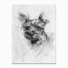 Australian Terrier Dog Charcoal Line 1 Canvas Print