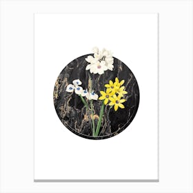 Vintage Corn Lily Botanical in Gilded Marble on Clean White n.0004 Canvas Print