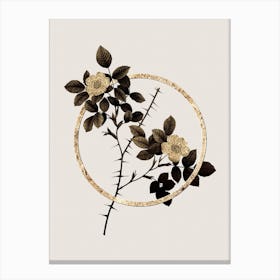 Gold Ring Spiny Leaved Rose of Dematra Glitter Botanical Illustration Canvas Print