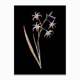 Stained Glass Gladiolus Cuspidatus Mosaic Botanical Illustration on Black n.0232 Canvas Print
