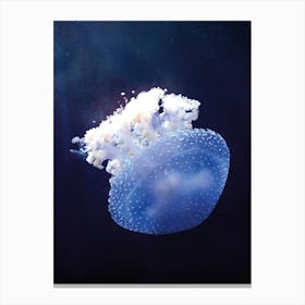 Jellyfish Canvas Print