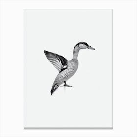 Mallard Duck B&W Pencil Drawing 1 Bird Canvas Print