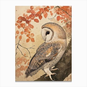 Australian Masked Owl Painting 2 Canvas Print