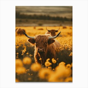Highland Cows In Flower Field Canvas Print