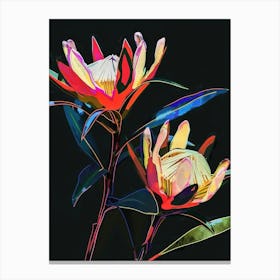 Neon Flowers On Black Protea 4 Canvas Print