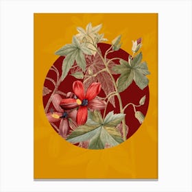 Vintage Botanical Lavatera Phoenicea on Circle Red on Yellow n.0153 Canvas Print