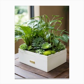 Planter Box Canvas Print