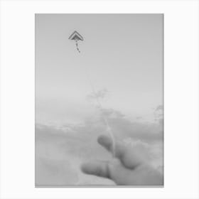 Kite in the sky Canvas Print