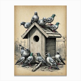 Pigeons In Birdhouse Canvas Print