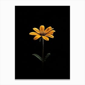 Single Yellow Flower 5 Canvas Print