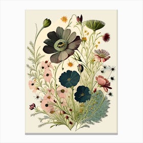 Cosmos Wildflower Vintage Botanical 2 Canvas Print