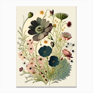 Vintage Postcards, Wildflowers - FLAX art & design