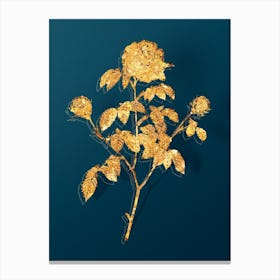 Vintage Agatha Rose in Bloom Botanical in Gold on Teal Blue n.0313 Canvas Print