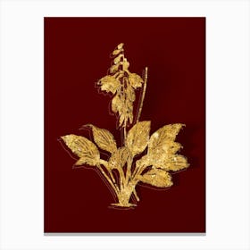 Vintage Daylily Botanical in Gold on Red n.0456 Canvas Print